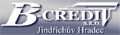 Firmy B-CREDIT - logo firmy